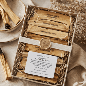 Mantra Santo - The Receiving Set